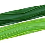 Irobot Roomba I3 I3+ Repuesto Juejo De Rodillos